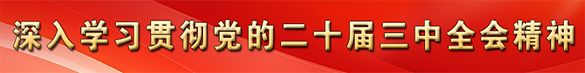 学习贯彻党的二十届三中全会精神