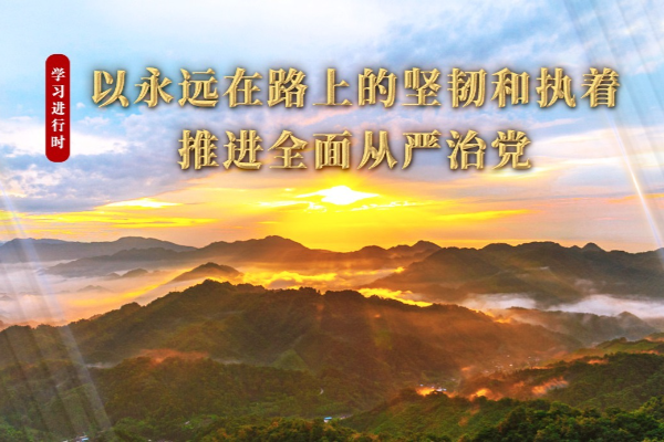 学习进行时丨以永远在路上的坚韧和执着推进全面从严治党