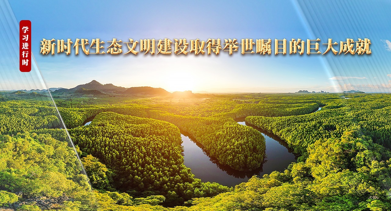 学习进行时丨新时代生态文明建设取得举世瞩目的巨大成就