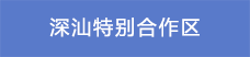 16深汕特别合作区.png