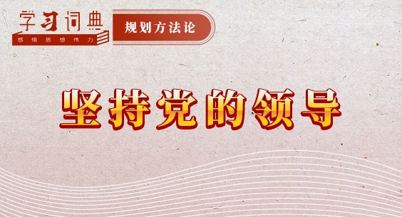 学习词典·规划方法论丨坚持党的领导