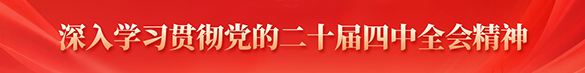 深入学习贯彻党的二十届四中全会精神