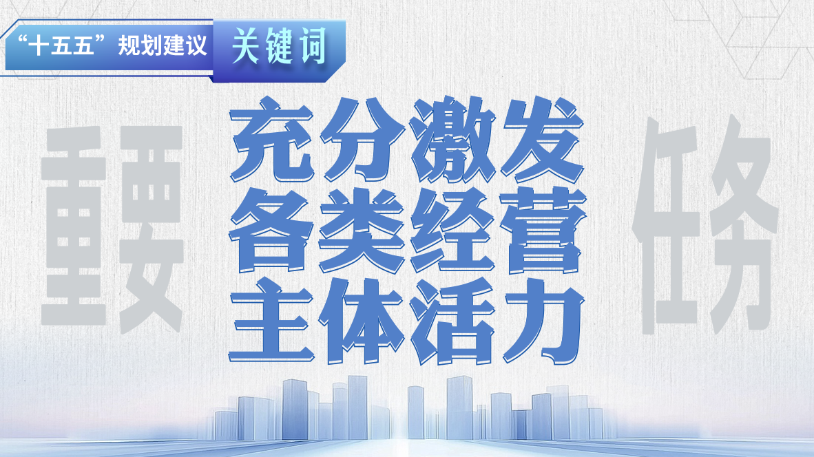 “十五五”规划建议关键词丨充分激发各类经营主体活力