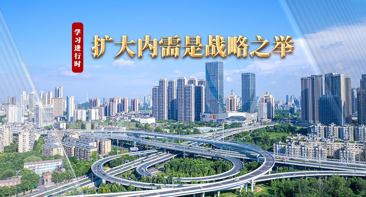 学习进行时丨扩大内需是战略之举
