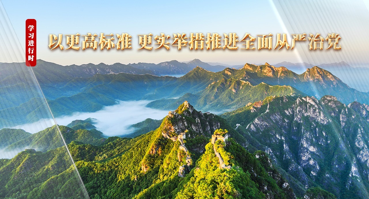 学习进行时丨以更高标准、更实举措推进全面从严治党