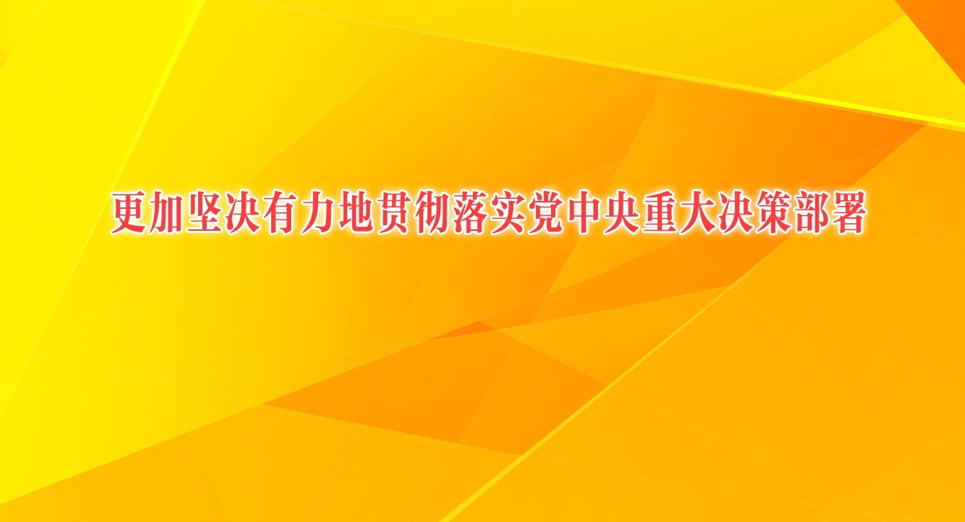 以更高标准、更实举措推进全面从严治党之一 更加坚决有力地贯彻落实党中央重大决策部署