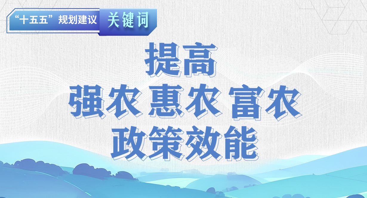 “十五五”规划建议关键词丨提高强农惠农富农政策效能