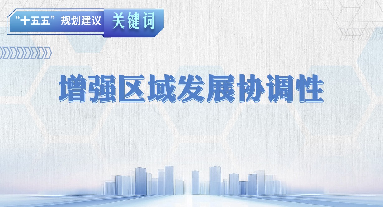 “十五五”规划建议关键词丨增强区域发展协调性
