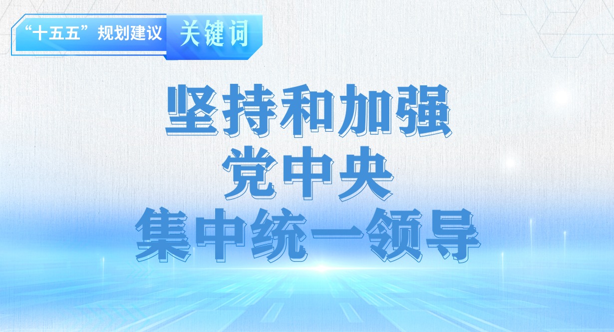 “十五五”规划建议关键词丨坚持和加强党中央集中统一领导