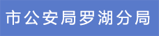 6.市公安局罗湖分局.png
