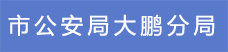 14.市公安局大鹏分局.png