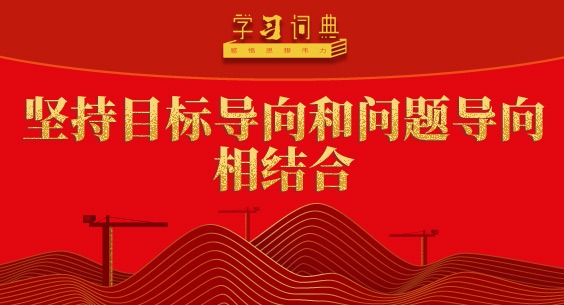 学习词典•树立和践行正确政绩观丨坚持目标导向和问题导向相结合
