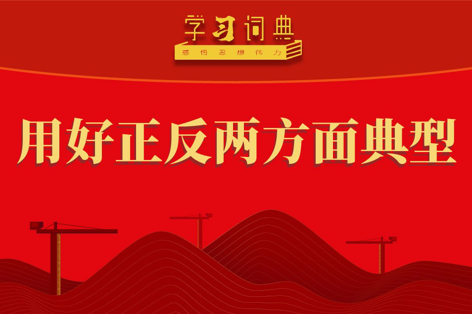学习词典•树立和践行正确政绩观丨用好正反两方面典型