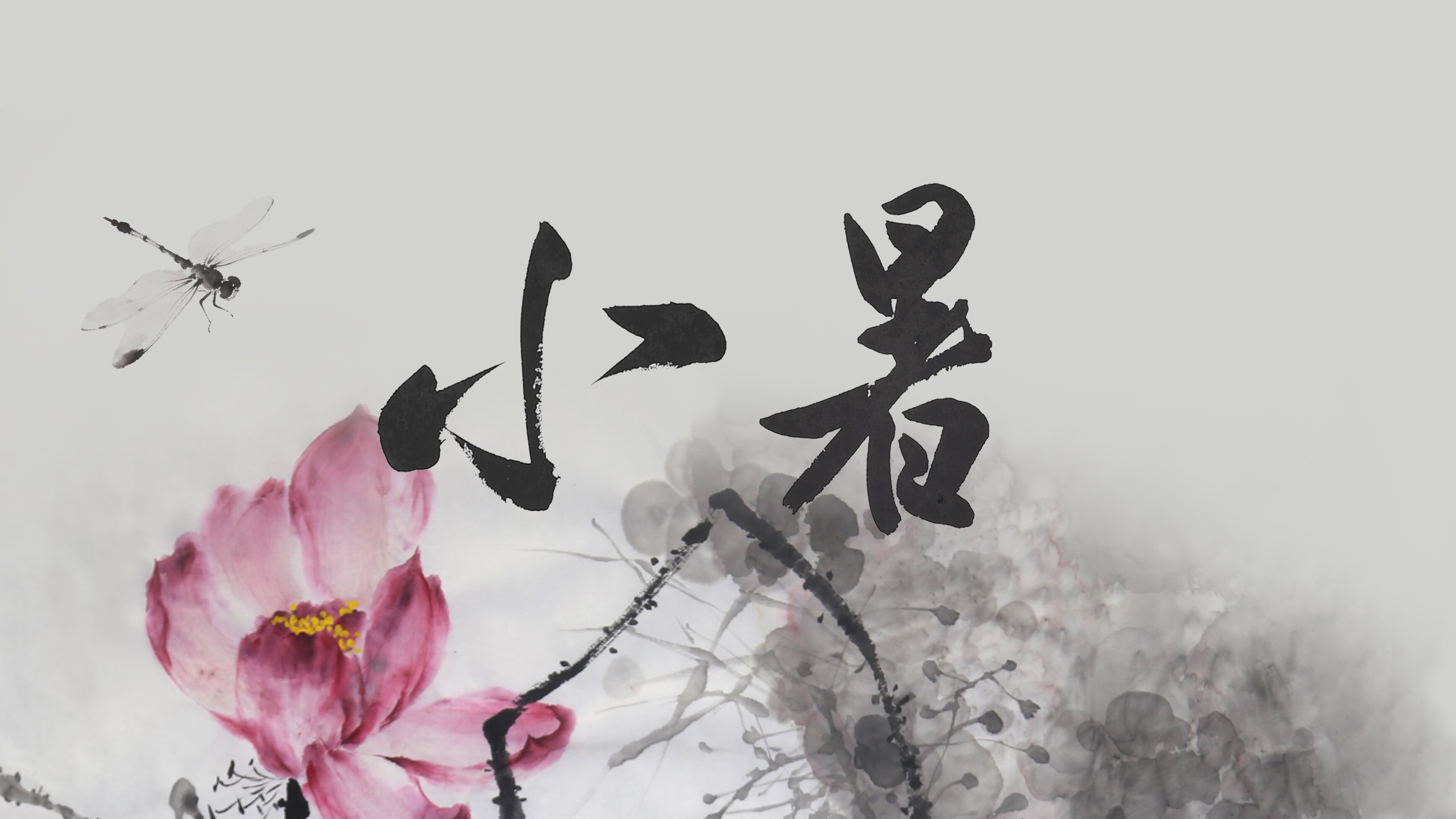 节气话廉丨小暑：荷风涤暑，清风守廉