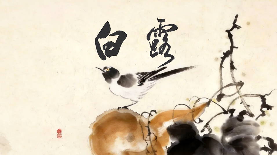 节气话廉丨白露：露凝而白，心澄如初